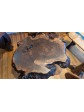 Claro Walnut Burl Coffee Table