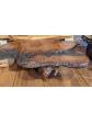Ribbon Redwood Coffee Table