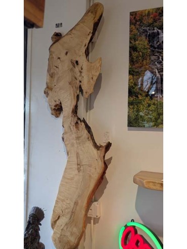 Box elder Burl "Flame" Slab